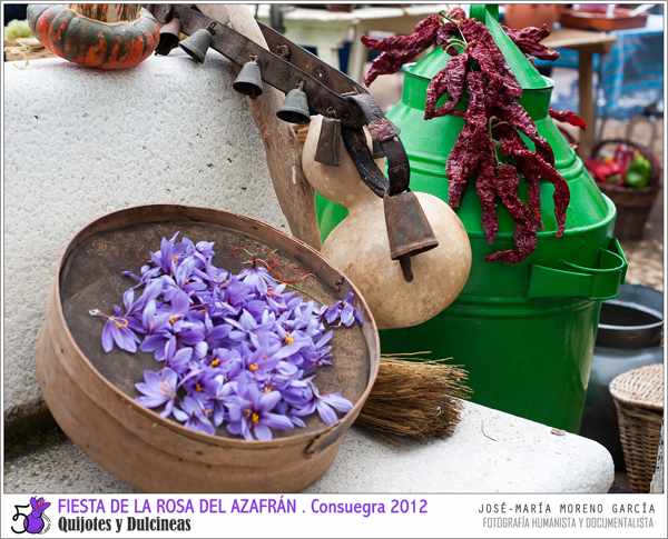 Fiesta de la Rosa del Azafrán de Consuegra - Toledo - Tradición - imagen azafran