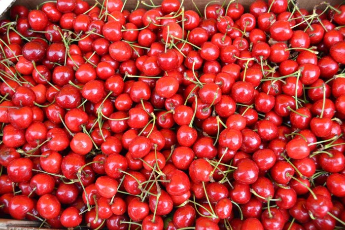 Fiesta de la Cereza de Milagro