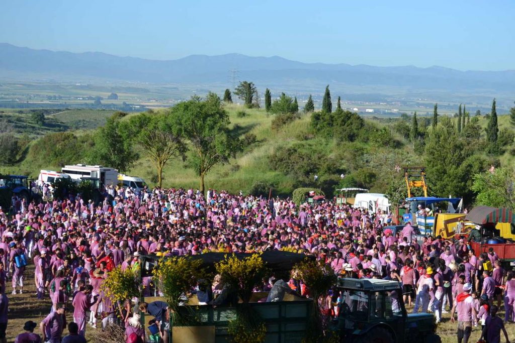 Batalla del Vino: todo lo que siempre quisiste saber
