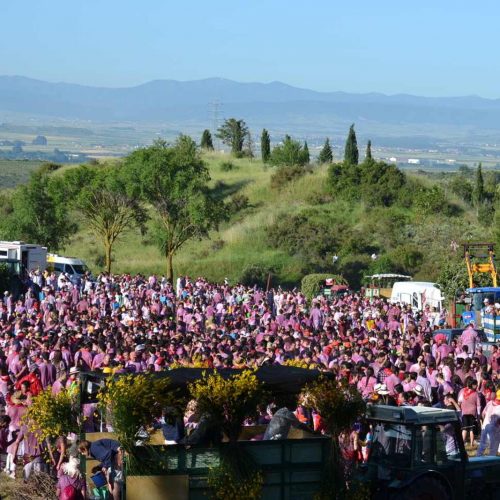Batalla del Vino: todo lo que siempre quisiste saber