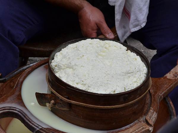 queso de pastor - tradición - roncal - Idiazábal-imagen4