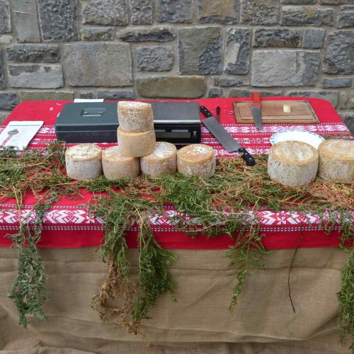 Queso de Pastor o Artzai Gatza, una tradición pastoril milenaria