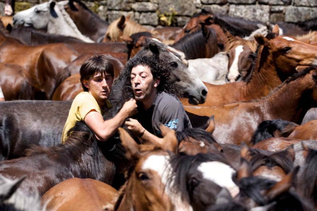 Caballos Salvajes, seguramente el mejor documental sobre «A Rapa Das Bestas»