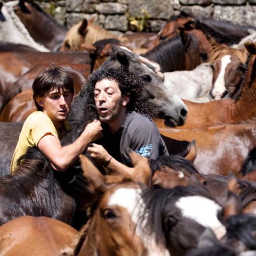 Caballos Salvajes, seguramente el mejor documental sobre «A Rapa Das Bestas»